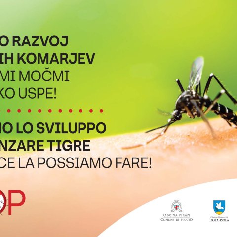Slovenska Istra tudi letos s skupnimi ukrepi proti tigrastim komarjem photo
